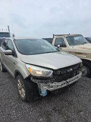 2017 Ford Escape SE - Primary Damage Left Image